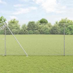 Cl&ocirc;ture hexagonale avec poteau 50 x 1,6 m Acier galvanis&eacute;