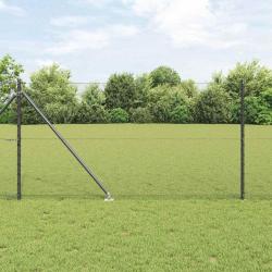 Cl&ocirc;ture hexagonale avec poteau 25 x 1 m Acier recouvert de PVC
