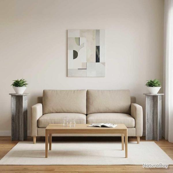 Support de Plante 2 pcs Sonoma gris �40 x 100 cm