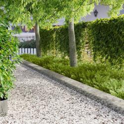Bordure de Pelouse 20 pcs 103 x 25 cm Acier Argent&eacute;