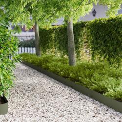 Bordure de Pelouse 10 pcs 100 x 20 cm Acier Vert olive
