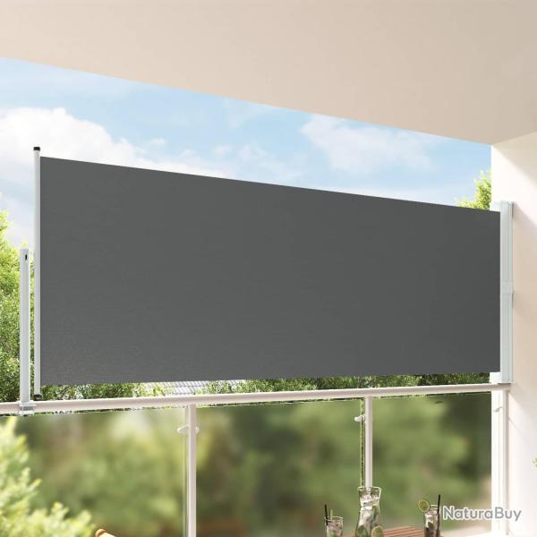 Auvent lat�ral 160 x 300 cm Rectangulaire Anthracite