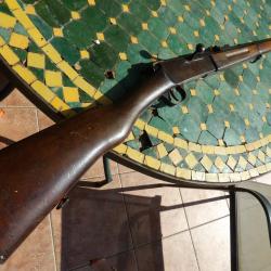 fusil carabine type Lebel standard &eacute;cole bataillon scolaire 22LR 22 short bosquette 6mm