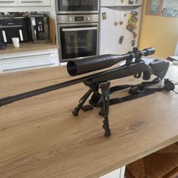 22 LR CZ 452 silhouette