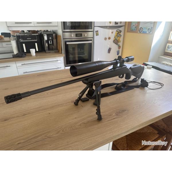 22 LR CZ 452 silhouette