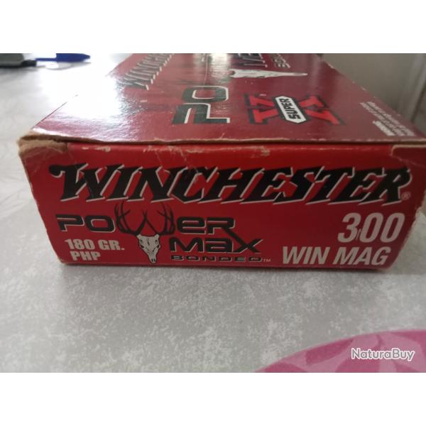 Balles 300Win