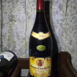 Magnum Vin Gevrey Chambertin 1990