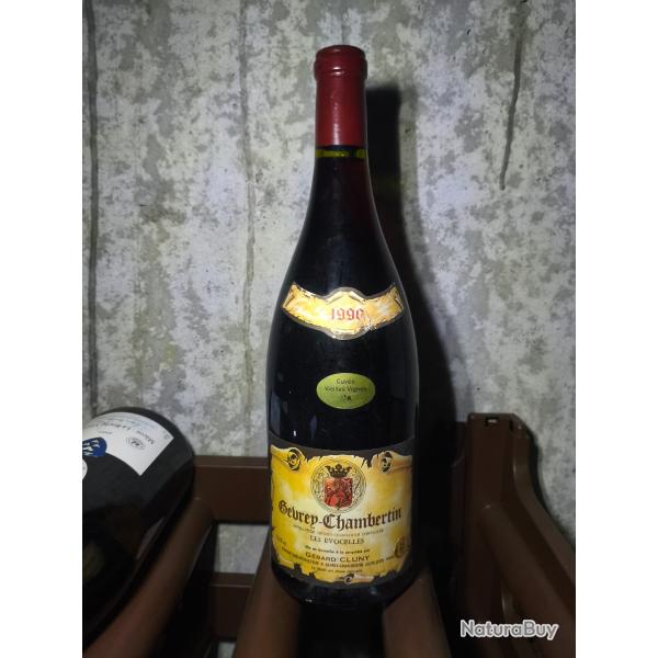 Magnum Vin Gevrey Chambertin 1990