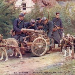 Carte Postale Ancienne - Mitrailleuses Belges - N&deg;8625