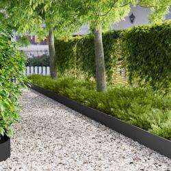 Bordure de Pelouse 10 pcs 103 x 20 cm Acier Noir