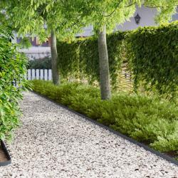 Bordure de Pelouse 30 pcs 102 x 4 x 4 cm Acier Anthracite