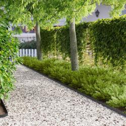 Bordure de Pelouse 30 pcs 102 x 4 x 4 cm Acier Noir