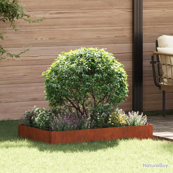 Bordure de Pelouse 100 x 60 x 20 cm Acier Rouill�