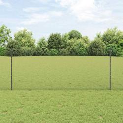Cl&ocirc;ture hexagonale avec poteau 10 x 1 m Acier recouvert de PVC