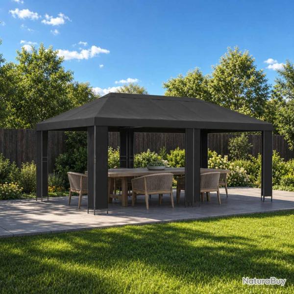 Abri de jardin 6 x 3 m Anthracite Polyester et Acier 190