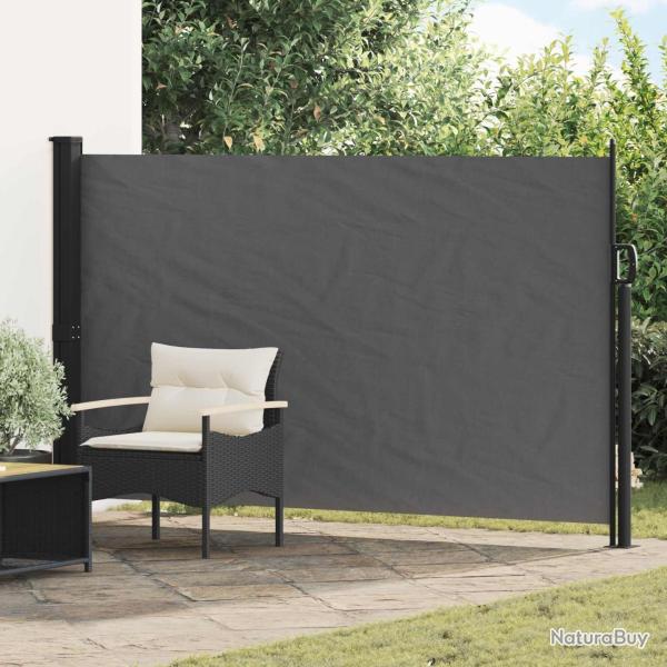 Store lat�ral r�tractable Anthracite 300 x 170 cm Polyester