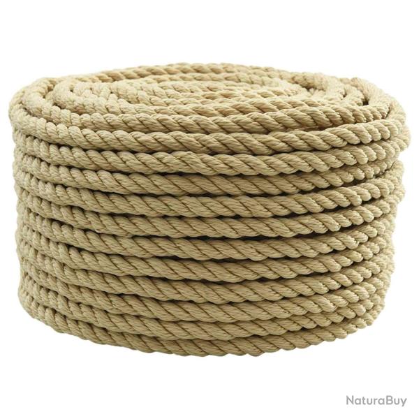 Corde de bateau 100 m 1.4 Naturel PP