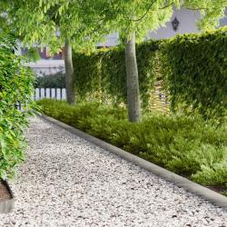 Bordure de Pelouse 10 pcs 100 x 15 cm Acier Argent&eacute;