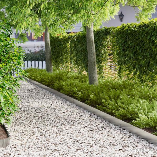 Bordure de Pelouse 10 pcs 100 x 15 cm Acier Argent�