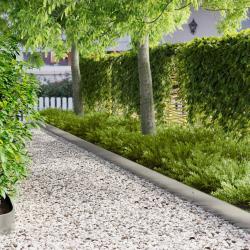 Bordure de Pelouse 10 pcs 103 x 15 cm Acier Argent&eacute;