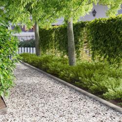 Bordure de Pelouse 10 pcs 103 x 10 cm Acier Argent&eacute;