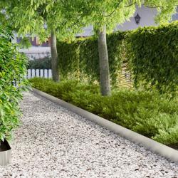 Bordure de Pelouse 10 pcs 100 x 12 cm Acier Argent&eacute;