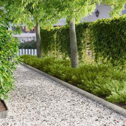 Bordure de Pelouse 10 pcs 103 x 15 cm m&eacute;tal Argent&eacute;