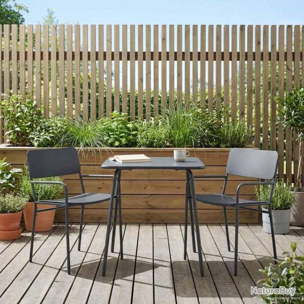 Chaises de jardin 2 pcs Anthracite 51 x 55 x 81 cm Acier
