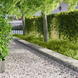 Bordure de Pelouse 10 pcs 100 x 22 cm Acier Argent&eacute;
