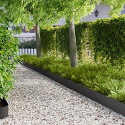 Bordure de Pelouse 30 pcs 103 x 20 cm Acier Noir