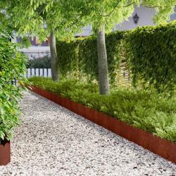 Bordure de Pelouse 10 pcs 103 x 25 cm Acier Rouill&eacute;