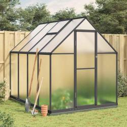 Serre avec cadre de base anthracite 224x169x202 cm aluminium