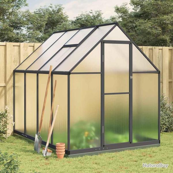 Serre avec cadre de base anthracite 224x169x202 cm aluminium