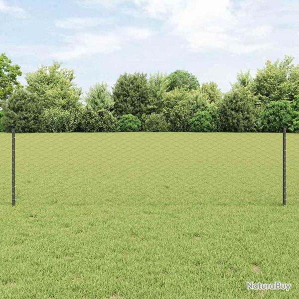 Cl�ture hexagonale avec poteau 25 x 0,6 m Gris Maille