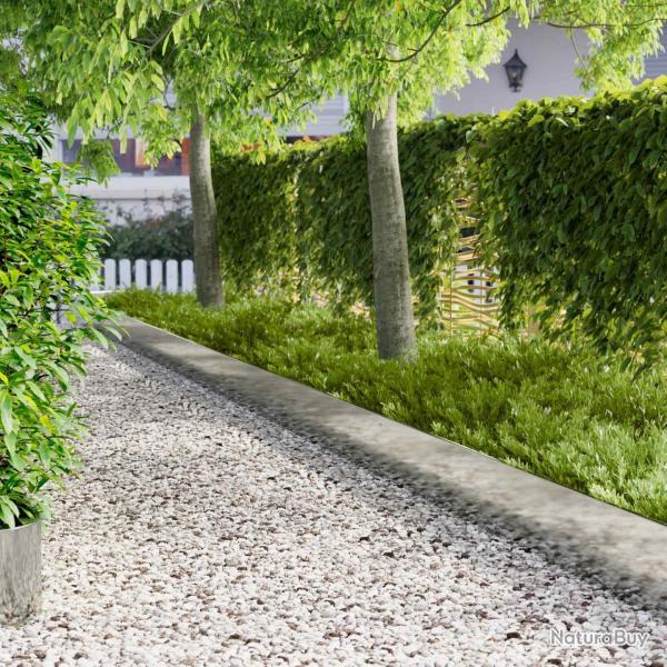 Bordure de Pelouse 10 pcs 103 x 30 cm Acier Argent�