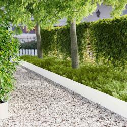 Bordure de Pelouse 10 pcs 103 x 25 cm Acier Blanc