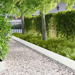 Bordure de Pelouse 10 pcs m&eacute;tal