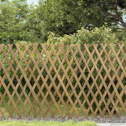 Trellis extensible pour cl&ocirc;ture 2 pcs Marron Clair 100 x 105 cm