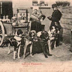 Carte Postale Ancienne Bruxelles Laiti&egrave;re Flamande- N&deg;8638