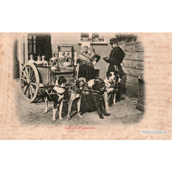 Carte Postale Ancienne Bruxelles Laiti�re Flamande- N�8638
