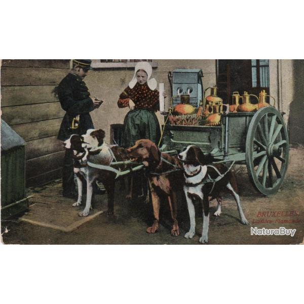 Carte Postale Ancienne Bruxelles Laiti�re Flamande- N�8637