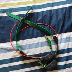 Collier gps dogtra