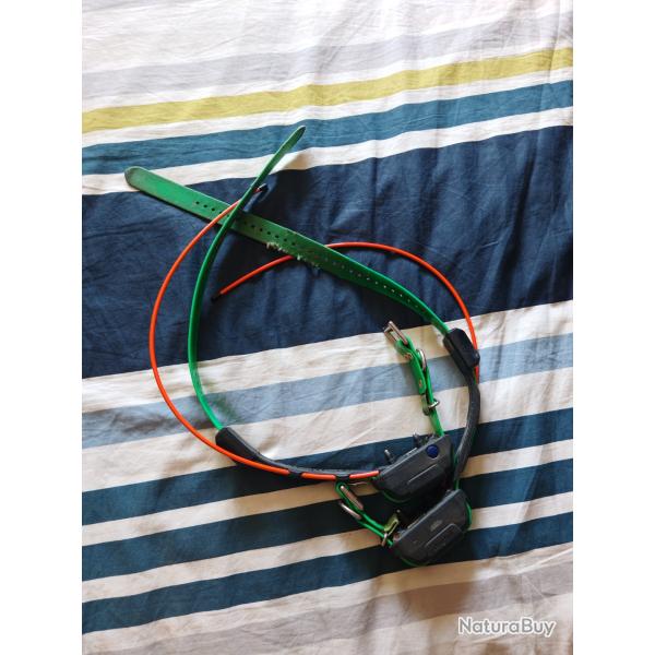 Collier gps dogtra