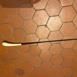 CANNE &Eacute;P&Eacute;E