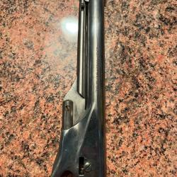 Canon Pietta 1860 cal44