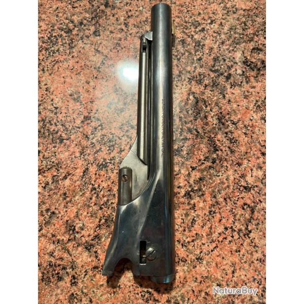 Canon Pietta 1860 cal44