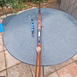 Beretta a303