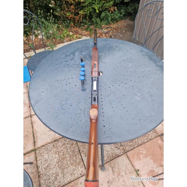 Beretta a303