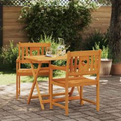 Chaises de jardin 2 pcs Naturel Bois d'Acacia Massif