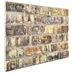 Panneaux muraux 10 pcs Multicolore 100 x 50 cm Mousse EPS